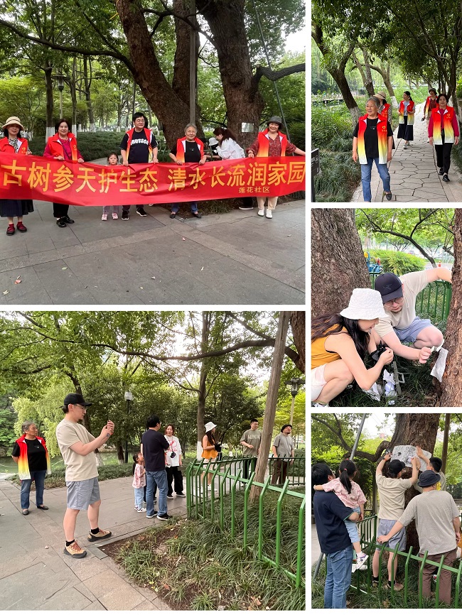 古樹拓印實踐 以生態密碼串聯守護行動